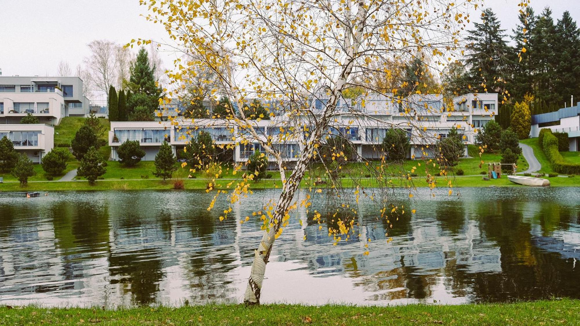 Bosky Apartament Lägenhet Gródek Nad Dunajcem Exteriör bild